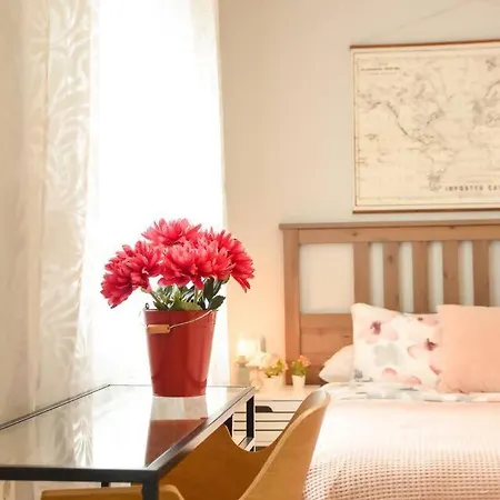 Conide Clinica Vega&hospital Monte Naranco