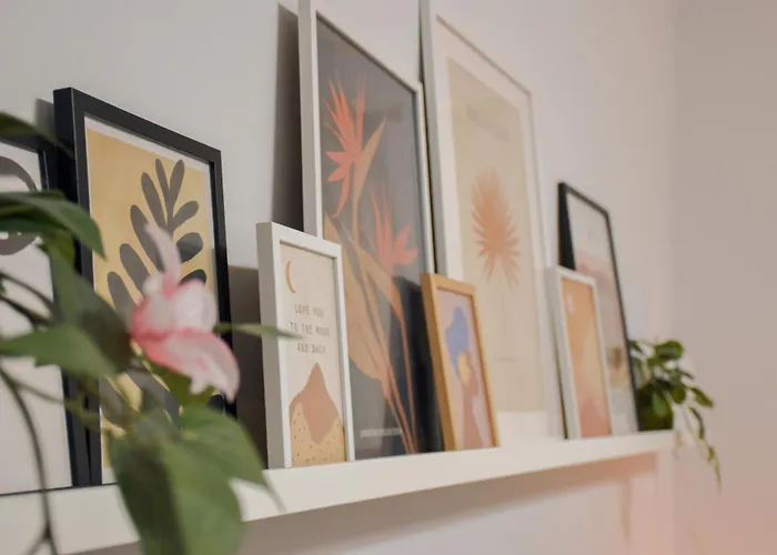 Conide Clínica Vega&hospital Monte Naranco Oviedo